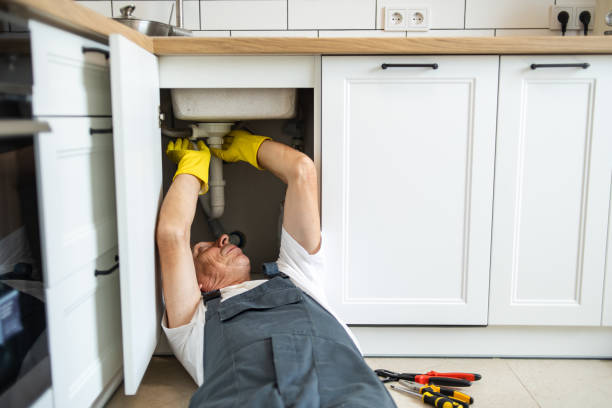 Best Clogged Drain Plumber  in La Riviera, CA