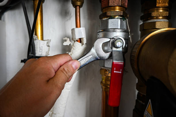 Best Shower Repair Services  in La Riviera, CA